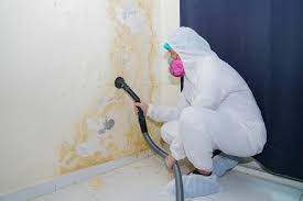 Best Commercial Mold Inspection  in USA